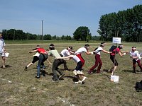 Walki bocianów
