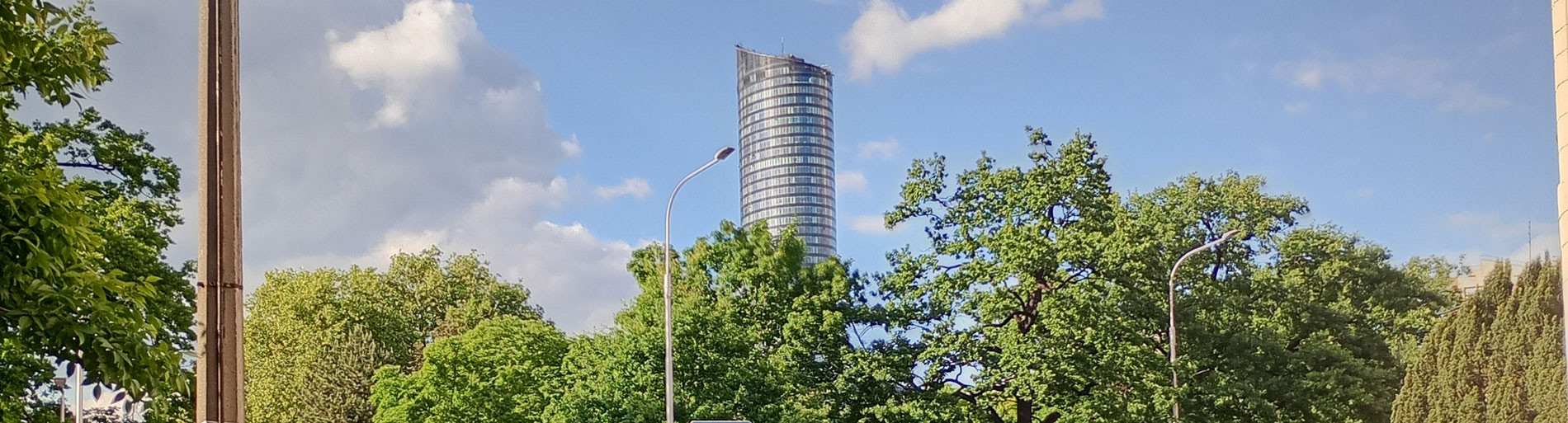 wzrost