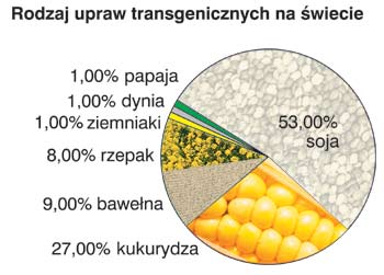 Rodzaj upraw transgenicznych na wiecie