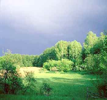 Moczele przed burz�