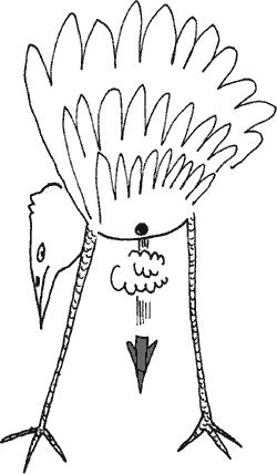 rys. Dariusz Mro�ek