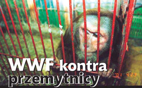 WWF kontra przemytnicy