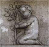 P�askorze�ba na murze we Wroc�awiu