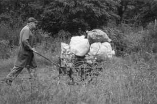 Zdj. Jerzy urawski - Transport