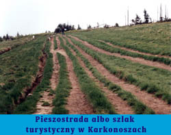 Zdjcie - pieszostrada albo szlak turystyczny w Karkonoszach