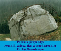 Zdjcie - Pomnik przyrody? Pomnik czowieka w Karkonoskim Parku Narodowym