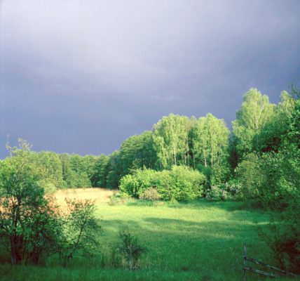 Przed wiosenną burzą na Moczelach. Foto Jerzy Płotkowiak
