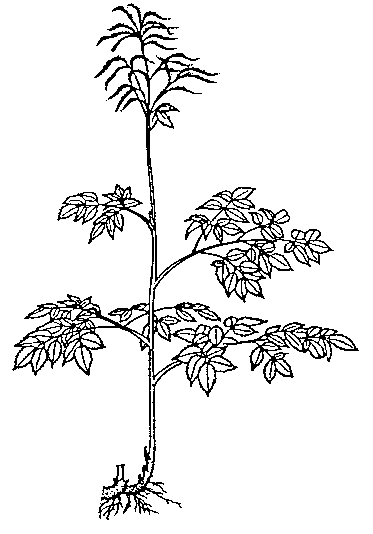 Rozmiar: 6810 bajt�w