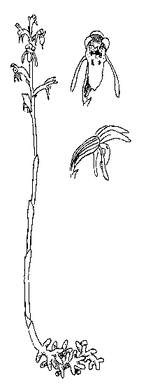 Rozmiar: 3880 bajt�w