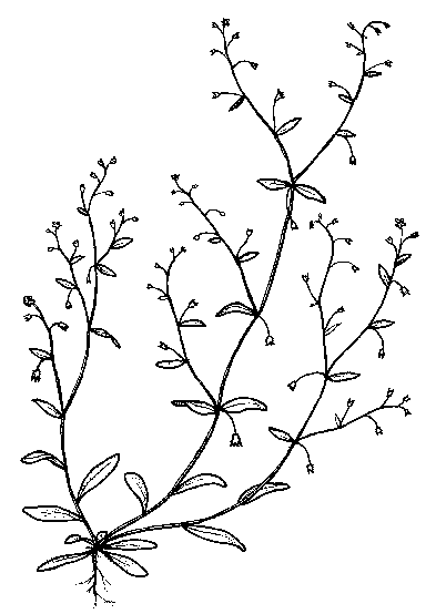 Rozmiar: 6980 bajt�w