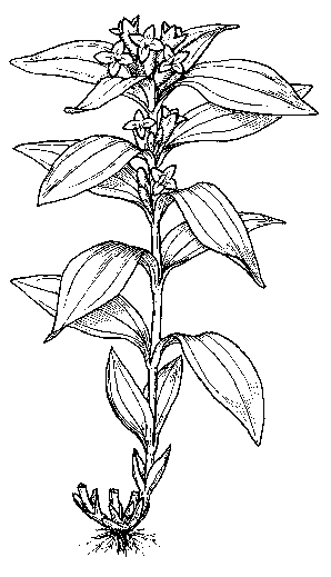 Rozmiar: 7394 bajt�w